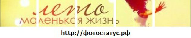 Ярославчик Добушовський фотография #44 (источник - https://vk.com/id26780274)