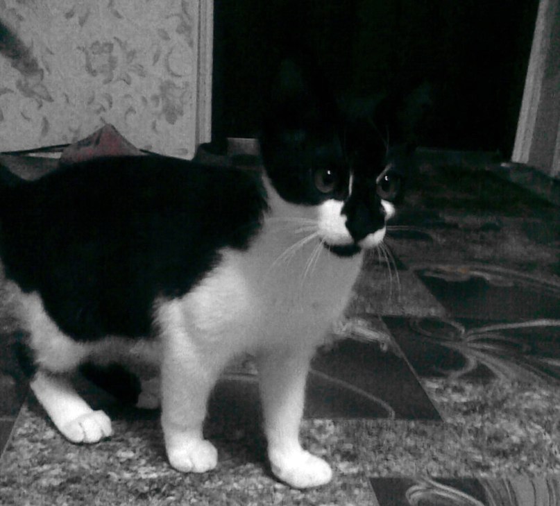 Кристина Латинник фотография #12