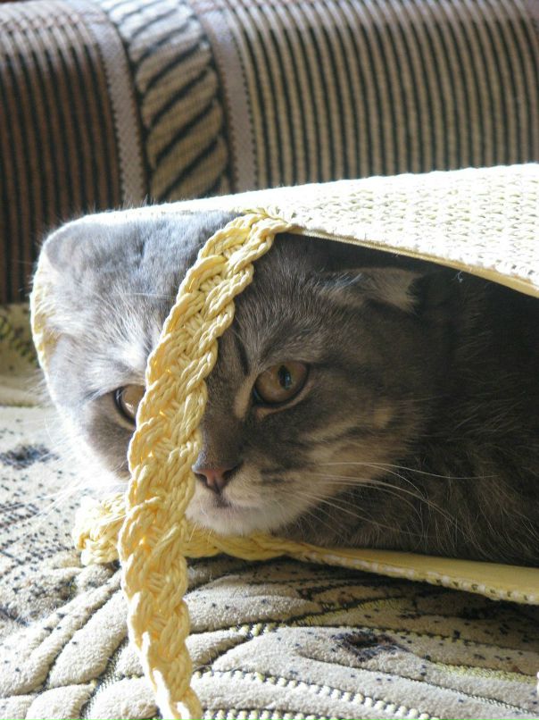 Сергей Липченко фотография #11