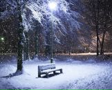 Фотография Сафронова Игоря