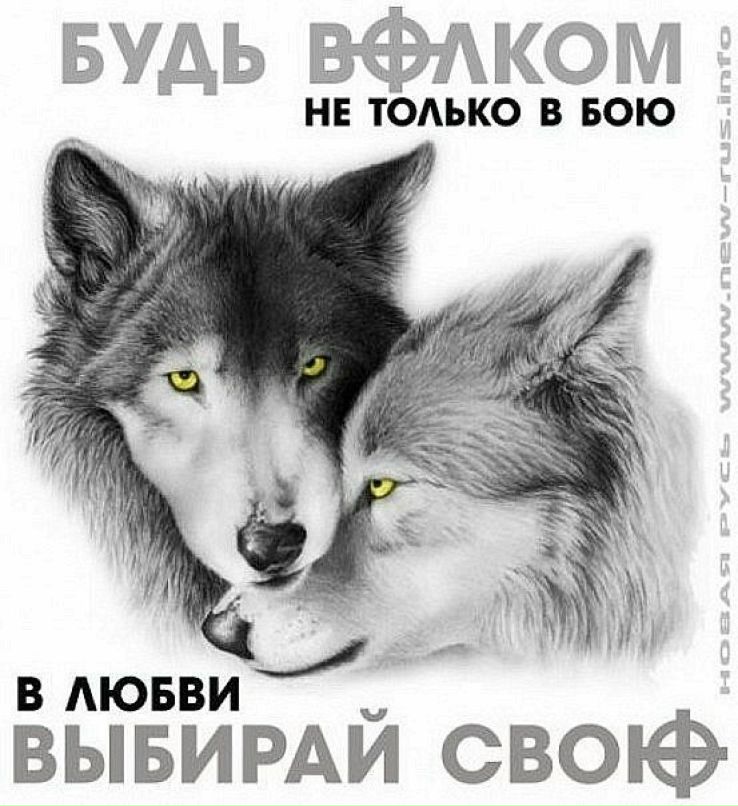 Адель Асадулин фотография #13