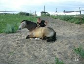 Фотография Воробьевой Полины