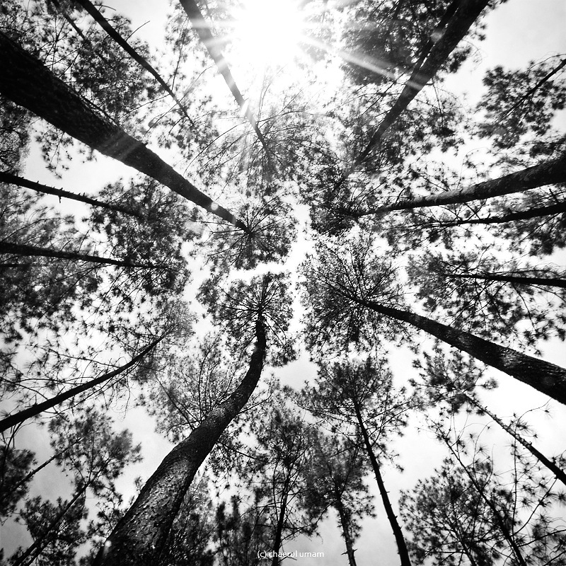 Дмитрий Корней фотография #10