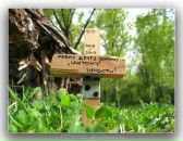 Денис Корнев фотография #14 (источник - https://vk.com/id768116)