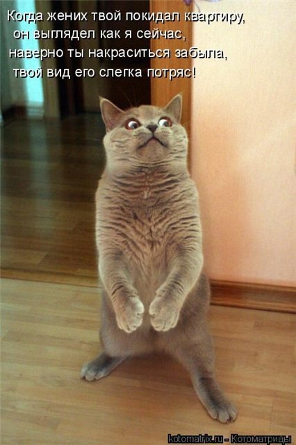 Дмитрий Николаев фотография #43