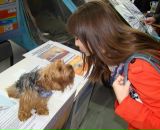 Фотография Проскуриной Ольги