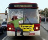 Олег Кушнір фотография #49 (источник - https://vk.com/id11022637)