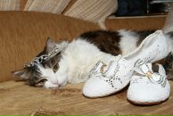 Фотография Тихонович Марии