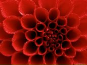 Фотография Постниковой Натальи