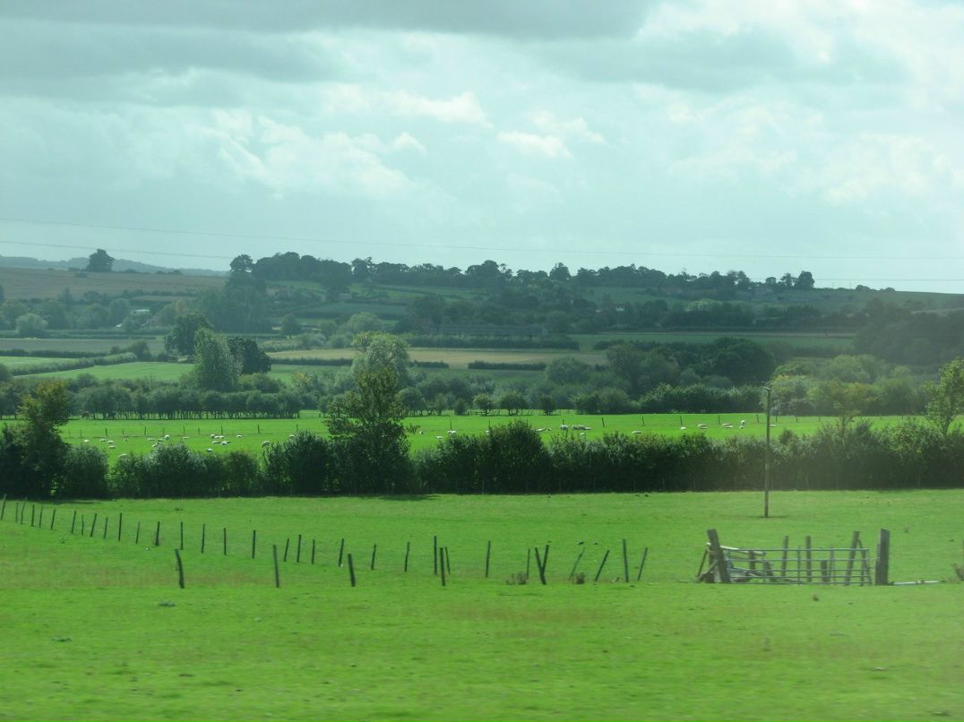 Ромул Рем фотография #31