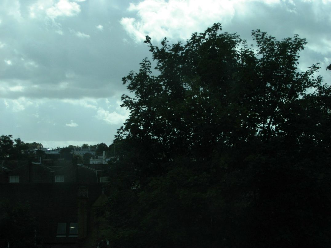 Ромул Рем фотография #46