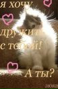 Тетяна Звінчук фотография #40 (источник - https://vk.com/id367462977)