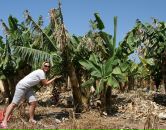 Фотография Захаровой Светланы