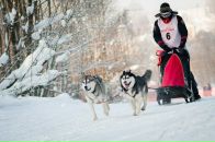 Фотография Пищева Дениса