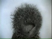 Фотография Ежова Александра