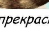 Владіслав Бевзюк фотография #26 (источник - https://vk.com/id69144728)