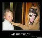 Маркіян Білий фотография #38 (источник - https://vk.com/id3189535)
