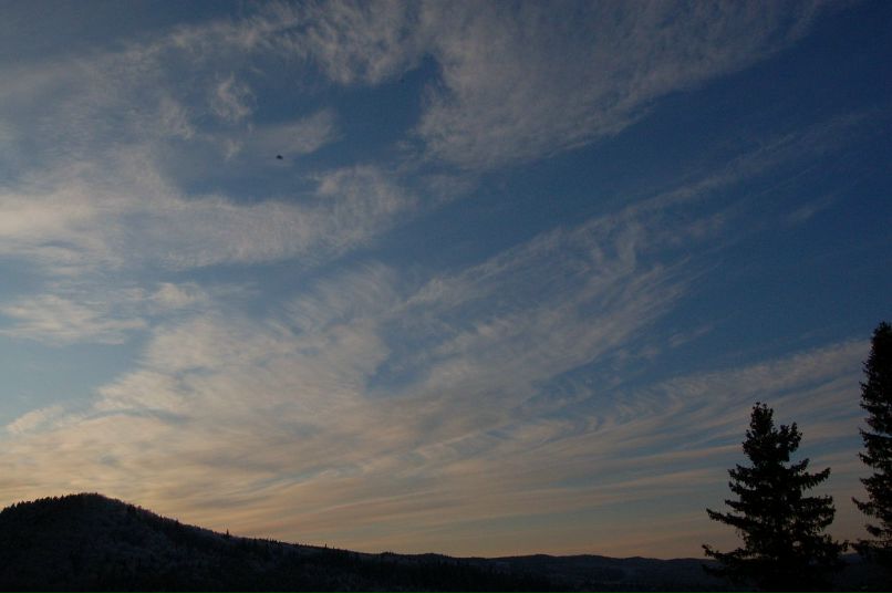 Noa Noa фотография #18