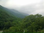 Igor Igor фотография #42 (источник - https://vk.com/id577602)