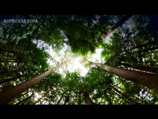 Летние пейзажи