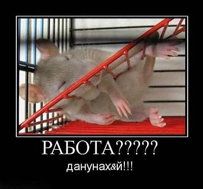 №17, Наталья Смирнова, Омск №17, Наталья Смирнова, Омск