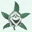 Фотография Пых Алекса