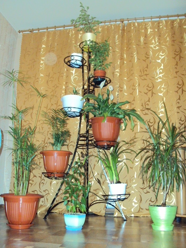 Иван Рекун фотография #17