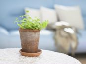 Фотография Абрамовой Оли