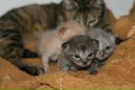 Фотография Денисовой Людмилы