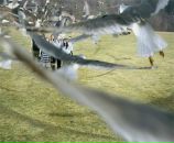 Фотография Сукочевой Ульяны