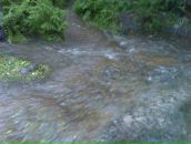 Фотография Пермяковой Брониславы