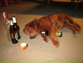 Фотография Царева Макса