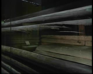 Мой Эрмитаж. Пазырыкский курган №5