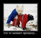 Антон Щепетков фотография #23 (источник - https://vk.com/id3977365)