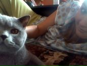 Фотография Метревели Полины