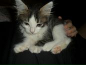 Фотография Гузеевой Алины