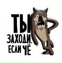 Фотография Зубаеровой Алины