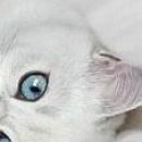 Зорянка Касіянчук фотография #13 (источник - https://vk.com/id18925498)