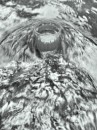 А Ломов фотография #32 (источник - https://vk.com/id96545300)