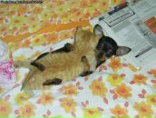 Фотография Горбунова Евгения