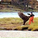 Фотография Нилова Ванеса