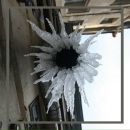 Фотография Минеева Михаила