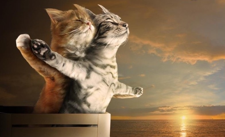 Дмитрий Журавлев фотография #26