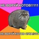 ♥ща Ебать не должно фотография #1