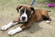 Кирилл Митяев фотография #13 (источник - https://vk.com/id6828811)