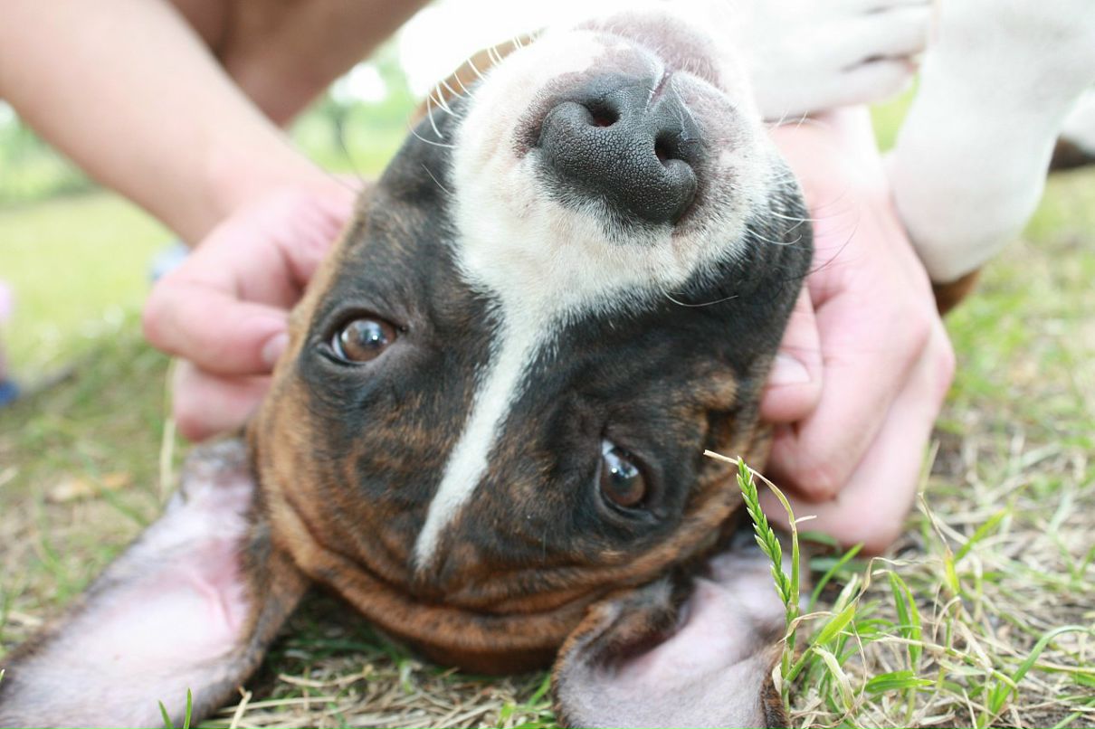 Кирилл Митяев фотография #26