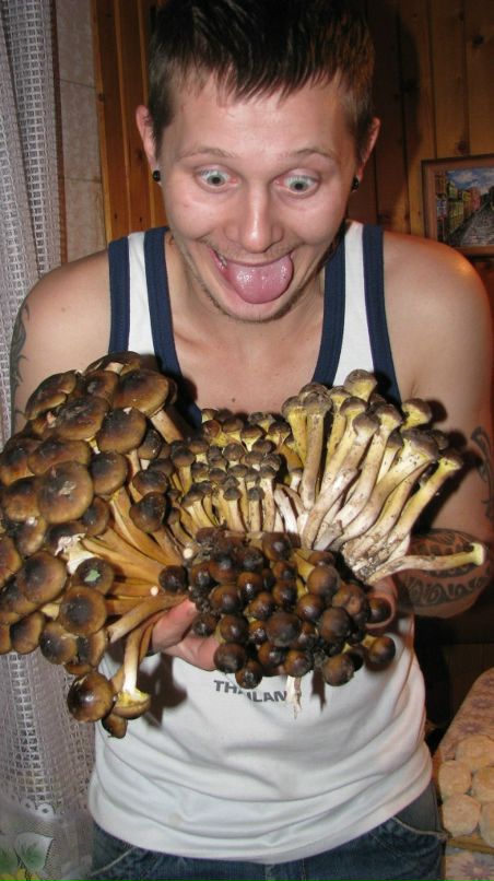 Кумар Грибоедов фотография #11