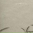 Яна Іштокіна фотография #24 (источник - https://vk.com/id87396786)