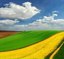 Фотография Бревдо Яны