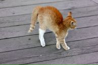 Фотография Юси Юси